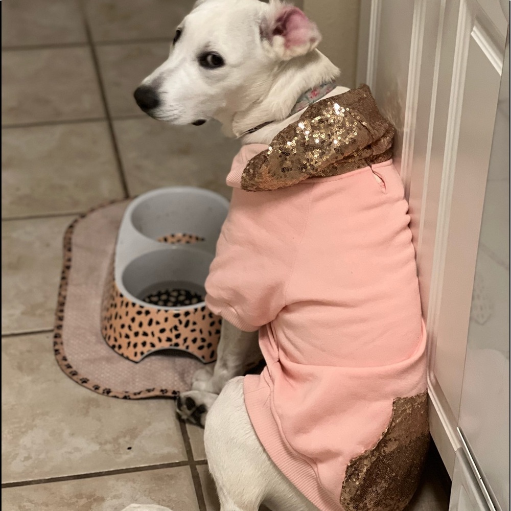 Dog outfit
